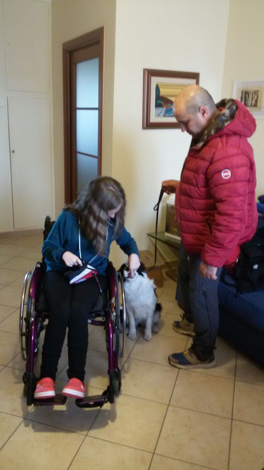 Addestramento Solidale per Gaia il Cav. Francesco Damico addestra e dona il Border Collie come Cane a supporto di diversamente abile﻿